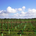 SANYO DIGITAL CAMERA